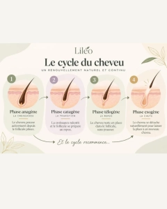 Le cycle du cheveux Liléo Sérum 